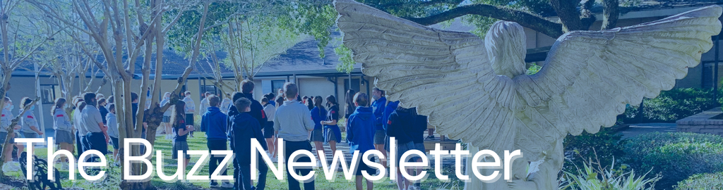 The Buzz Newsletter