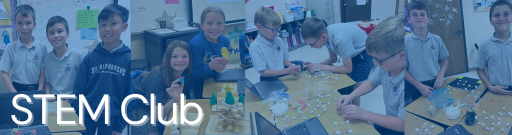 Stem Club